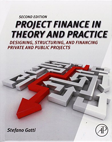 Imagen de archivo de Project Finance in Theory and Practice: Designing, Structuring, and Financing Private and Public Projects a la venta por HPB-Red