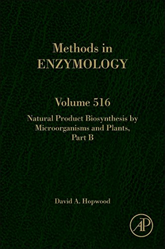 Stock image for Natural Product Biosynthesis by Microorganisms and Plants Part B: 516 (Methods in Enzymology) for sale by Chiron Media