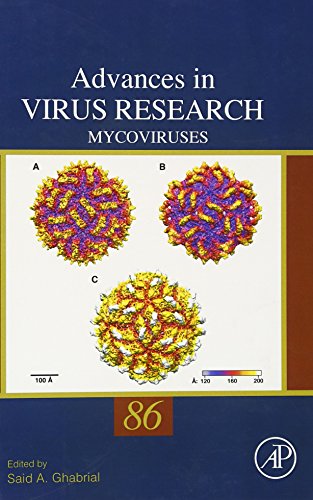 Stock image for Mycoviruses: 86 (Advances in Virus Research): Volume 86 for sale by Chiron Media