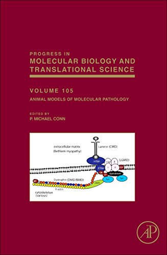 Stock image for Animal Models of Molecular Pathology (Progress in Molecular Biology and Translational Science): Volume 105 for sale by Chiron Media