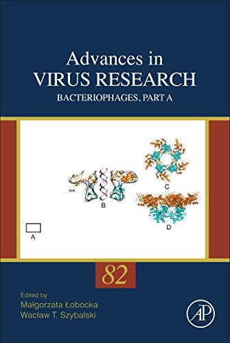 Beispielbild fr Bacteriophages, Part A: 82 (Advances in Virus Research): Volume 82 zum Verkauf von Chiron Media