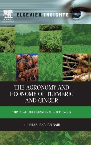 Stock image for The Agronomy and Economy of Turmeric and Ginger: The Invaluable Medicinal Spice Crops (Elsevier Insights) for sale by Chiron Media