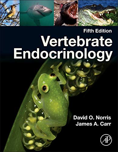 nch endocrinology nch endocrinology