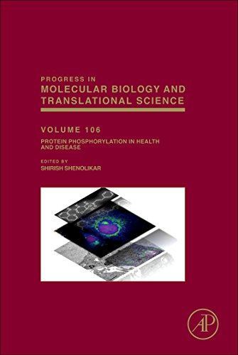 Beispielbild fr Protein Phosphorylation in Health and Disease (Progress in Molecular Biology and Translational Science): Volume 106 zum Verkauf von Chiron Media