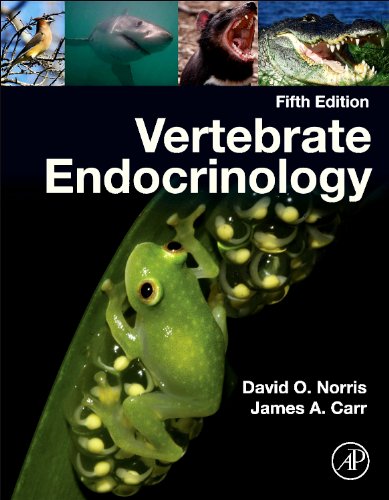 9780123964656: Vertebrate Endocrinology