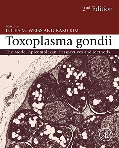 Beispielbild fr Toxoplasma Gondii, Second Edition: The Model Apicomplexan - Perspectives and Methods zum Verkauf von SecondSale