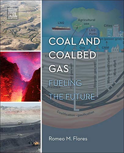 9780123969729: Coal and Coalbed Gas: Fueling the Future