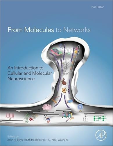 9780123971791: From Molecules to Networks: An Introduction to Cellular and Molecular Neuroscience