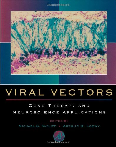 Stock image for Viral Vectors: Gene Therapy and Neuroscience Applications for sale by medimops