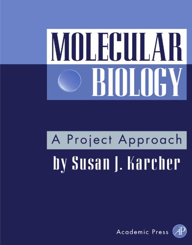 Stock image for Molecular Biology: A Project Approach for sale by HPB-Red