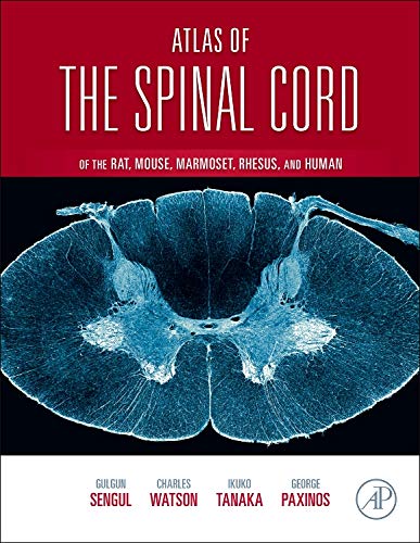 9780123978769: Atlas of the Spinal Cord: Mouse, Rat, Rhesus, Marmoset, and Human