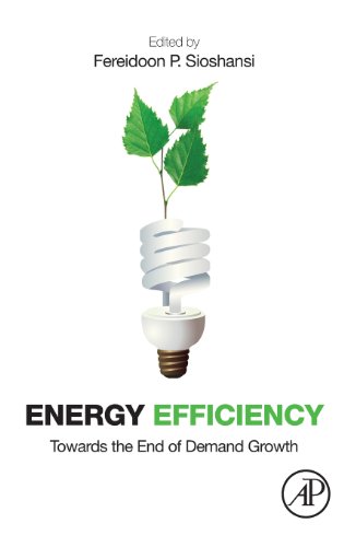 Stock image for Energy Efficiency: Towards the End of Demand Growth for sale by SecondSale