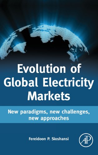 Stock image for Evolution of Global Electricity Markets: New paradigms, new challenges, new approaches for sale by Mispah books