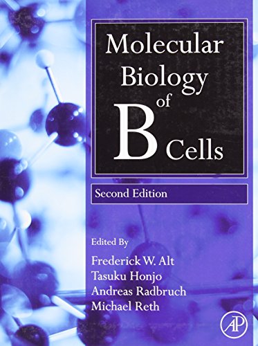Beispielbild fr Molecular Biology of B Cells zum Verkauf von Anybook.com