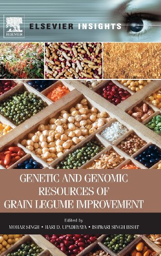Stock image for Genetic And Genomic Resources Of Grain Legume Improvement for sale by Basi6 International