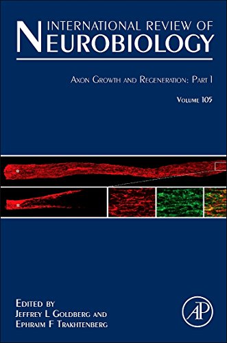 9780123983091: Axon Growth and Regeneration: Part 1: Volume 105 (International Review of Neurobiology, Volume 105)