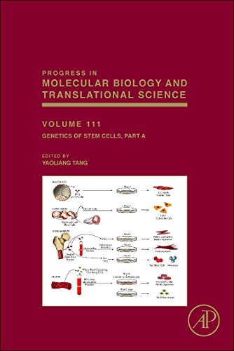 Stock image for Genetics of Stem Cells: 111 (Progress in Molecular Biology and Translational Science): Part A: Volume 111 for sale by Chiron Media