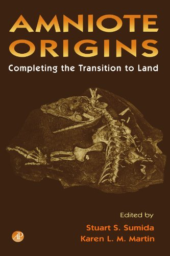 Stock image for Amniote Origins: Completing the Transition to Land for sale by Revaluation Books