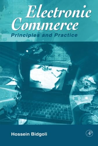 9780123995339: Electronic Commerce