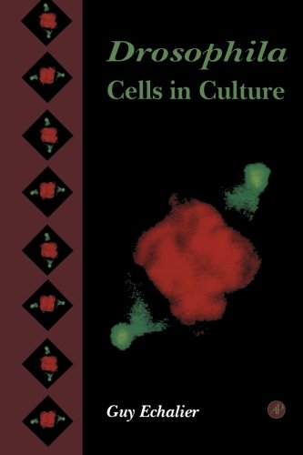 Stock image for Drosophila Cells in Culture for sale by Revaluation Books