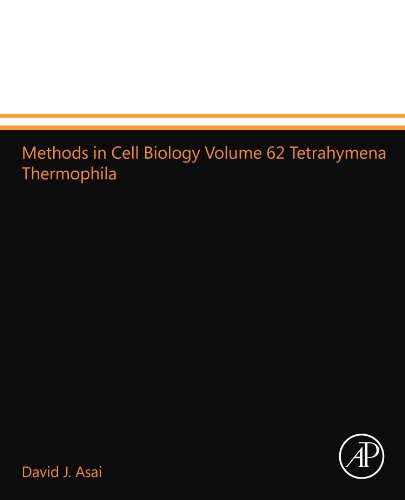 Stock image for Methods in Cell Biology Volume 62 Tetrahymena Thermophila for sale by Revaluation Books