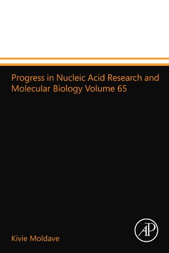 9780123997074: Progress in Nucleic Acid Research and Molecular Biology Volume 65