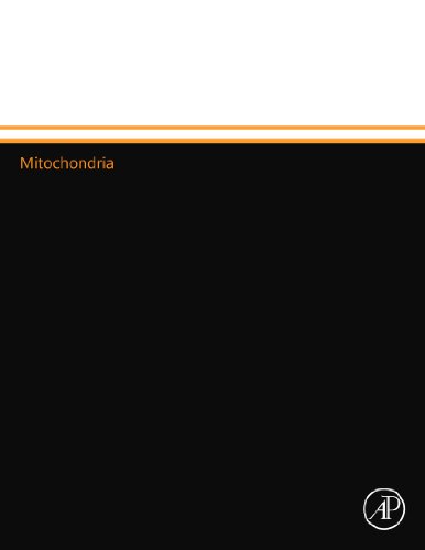 Stock image for Mitochondria for sale by Revaluation Books