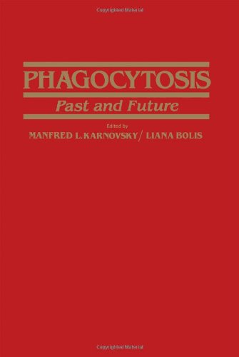 Phagocytosis. Past and future,