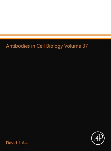 Stock image for Antibodies in Cell Biology Volume 37 for sale by Revaluation Books