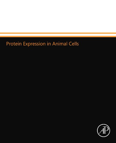 Stock image for Protein Expression in Animal Cells for sale by Revaluation Books