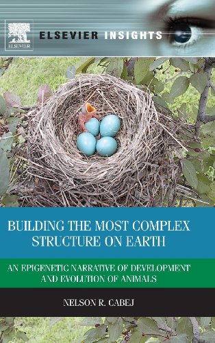 Stock image for Building the Most Complex Structure on Earth: An Epigenetic Narrative of Development and Evolution of Animals (Elsevier Insights) for sale by Mispah books