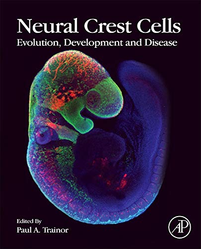 9780124017306: Neural Crest Cells: Evolution, Development and Disease