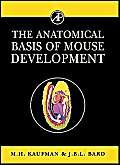 Imagen de archivo de The Anatomical Basis of Mouse Development a la venta por HPB-Red