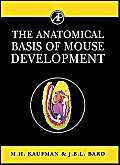 9780124020603: The Anatomical Basis of Mouse Development