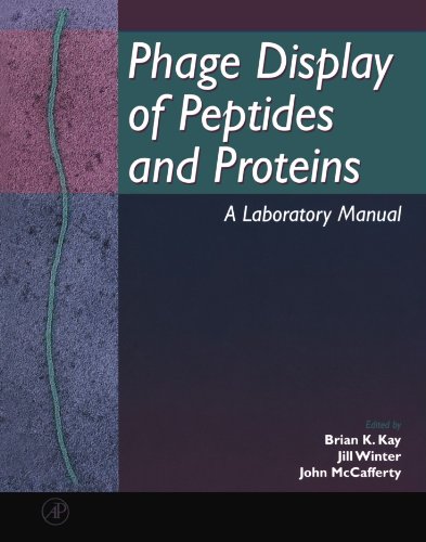 Imagen de archivo de Phage Display of Peptides and Proteins: A Laboratory Manual a la venta por Wonder Book