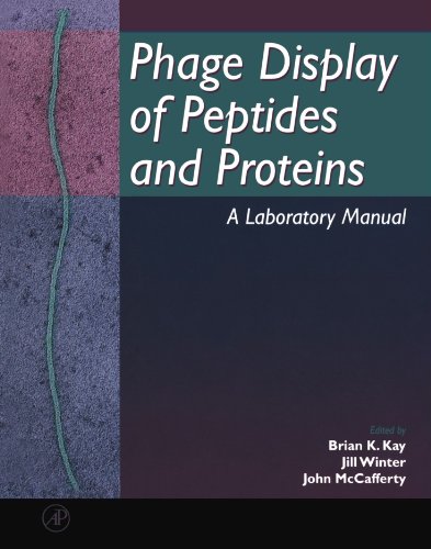 Stock image for Phage Display of Peptides and Proteins: A Laboratory Manual for sale by Wonder Book