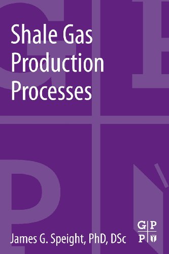 Beispielbild fr Shale Gas Production Processes zum Verkauf von ThriftBooks-Atlanta