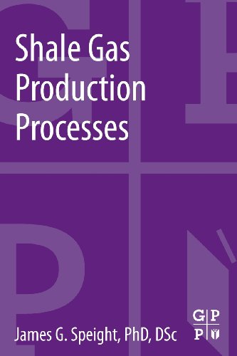 9780124045712: Shale Gas Production Processes