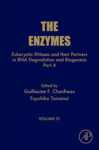 Stock image for Eukaryotic RNases and their Partners in RNA Degradation and Biogenesis: Part A: Volume 31 (The Enzymes) for sale by Devils in the Detail Ltd