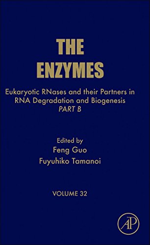 Stock image for Eukaryotic RNases and Their Partners in RNA Degradation and Biogenesis : Part B for sale by Better World Books