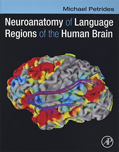 Stock image for Neuroanatomy of Language Regions of the Human Brain for sale by Chiron Media