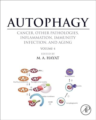 Beispielbild fr Autophagy: Cancer, Other Pathologies, Inflammation, Immunity, Infection, and Aging: Mitophagy: Vol 4 zum Verkauf von Revaluation Books