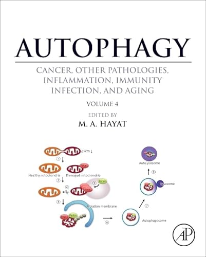 Stock image for Autophagy: Cancer, Other Pathologies, Inflammation, Immunity, Infection, and Aging: Volume 4 Mitophagy for sale by Chiron Media