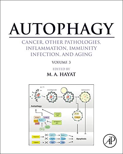 Stock image for Autophagy: Cancer, Other Pathologies, Inflammation, Immunity, Infection, and Aging: Mitophagy Volume 3: Volume 3 - Role in Specific Diseases for sale by Chiron Media