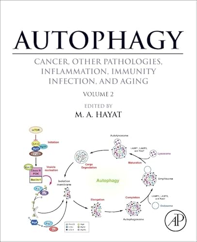 Stock image for Autophagy: Cancer, Other Pathologies, Inflammation, Immunity, Infection, and Aging: Role in General Diseases Vol. 2.: Volume 2 - Role in General Diseases for sale by Chiron Media