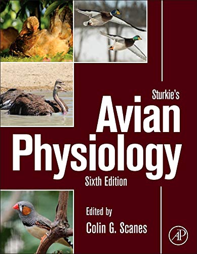 9780124071605: Sturkie's Avian Physiology