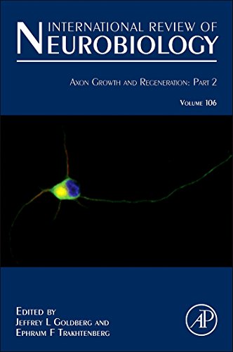 Imagen de archivo de Axon Growth and Regeneration: Part 2 (Volume 106) (International Review of Neurobiology, Volume 106, Band 106) a la venta por Buchpark