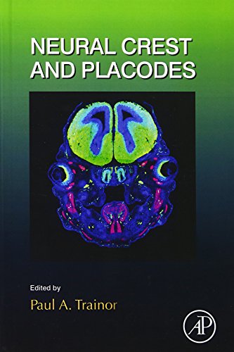 Stock image for Neural Crest and Placodes: 111 (Current Topics in Developmental Biology) for sale by Chiron Media