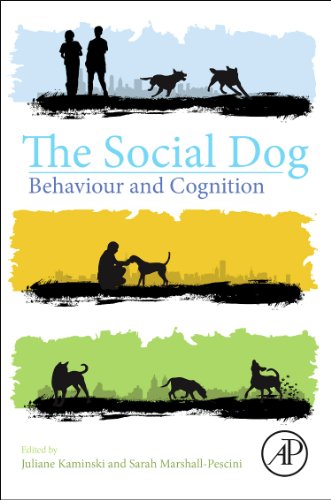 Stock image for The Social Dog: Behavior and Cognition for sale by Chiron Media