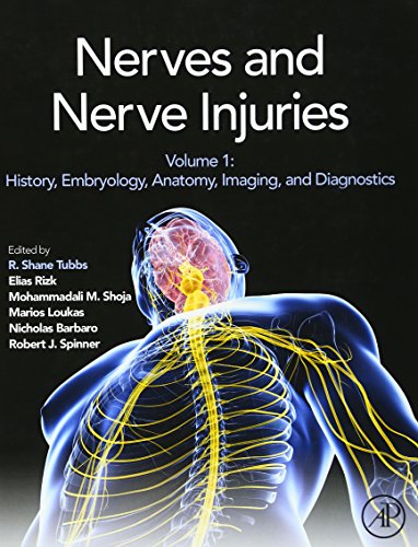 Stock image for Nerves and Nerve Injuries: Vol 1: History, Embryology, Anatomy, Imaging, and Diagnostics for sale by Brook Bookstore On Demand
